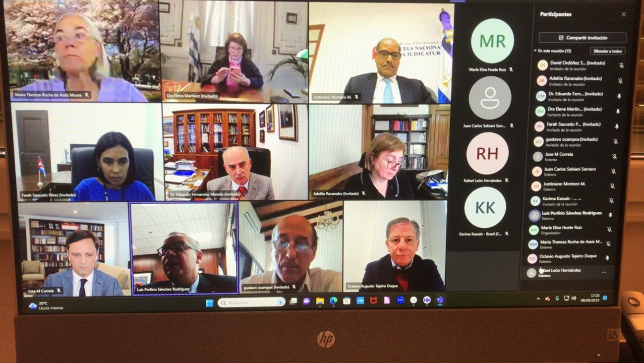 Imagen de los participantes de la reunión virtual