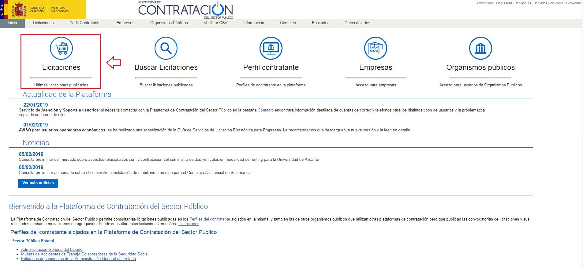 Captura de pantalla de la Plataforma de Contratación con la opción 'Licitaciones' seleccionada